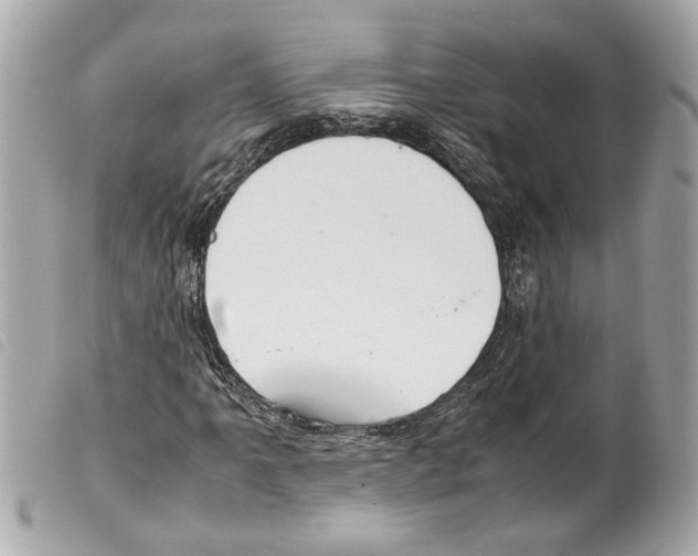 X0000099311061200805301149