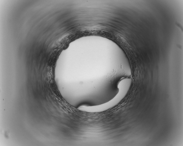 X0000099311062200805301149