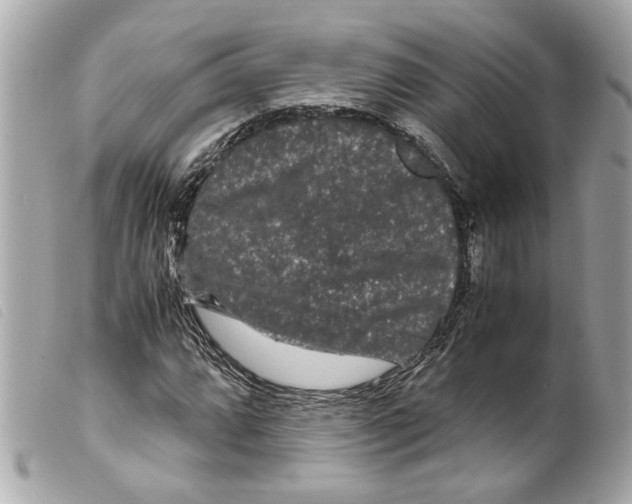 X0000099311064200805301149