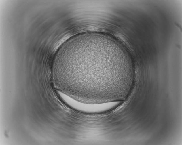 X0000099311065200805301149