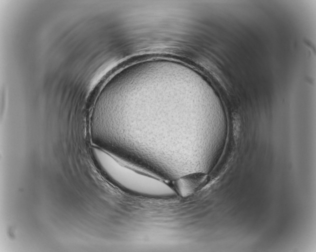 X0000099311069200805301149