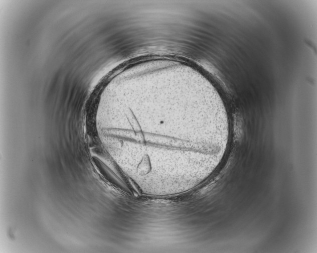 X0000099311070200805301149