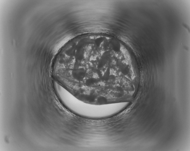 X0000099311071200805301149