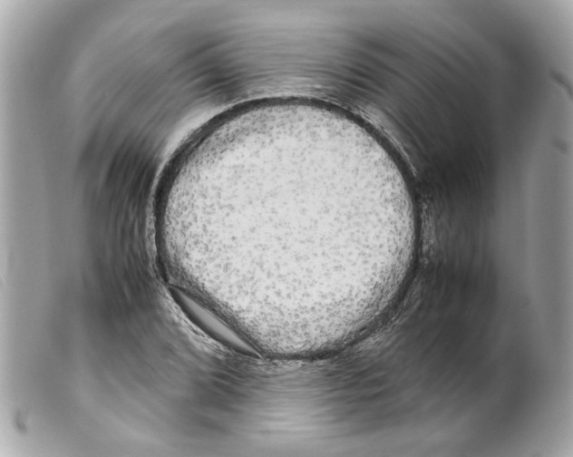 X0000099311072200805301149