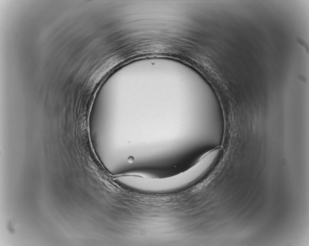 X0000099311073200805301149