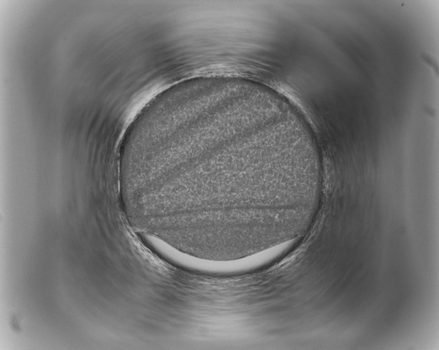 X0000099311075200805301149