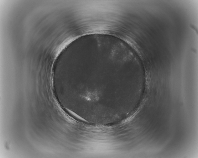 X0000099311077200805301149