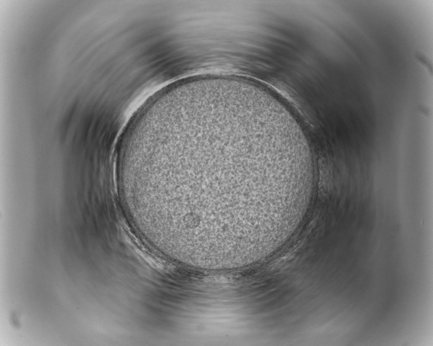 X0000099311078200805301149