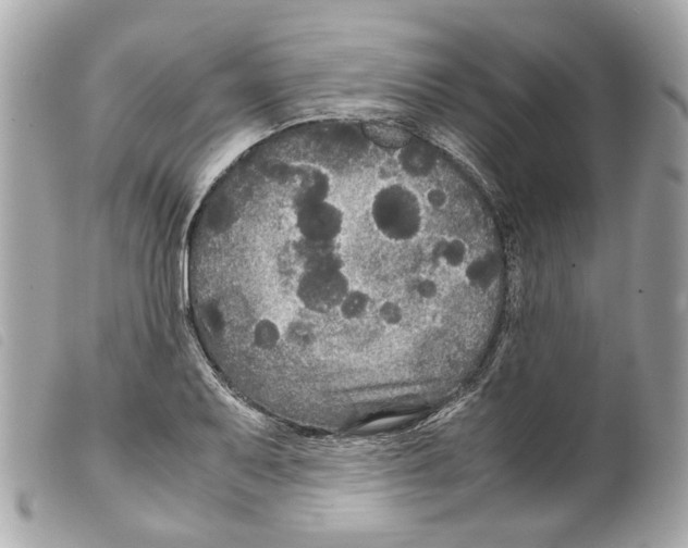 X0000099311079200805301149