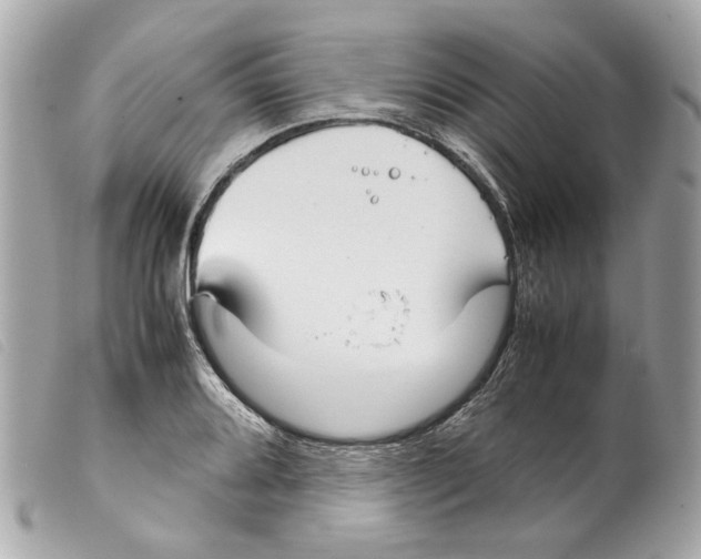 X0000099311080200805301149