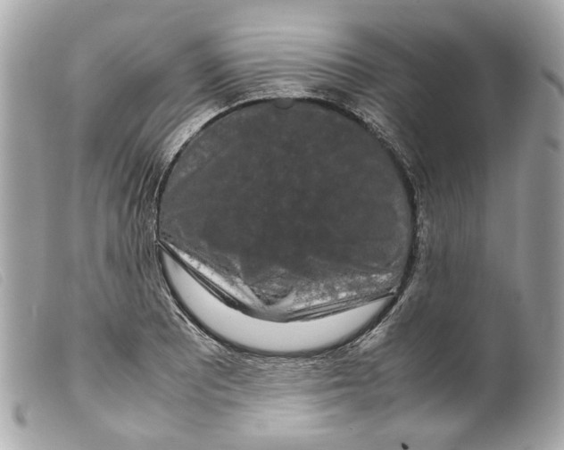 X0000099311081200805301149