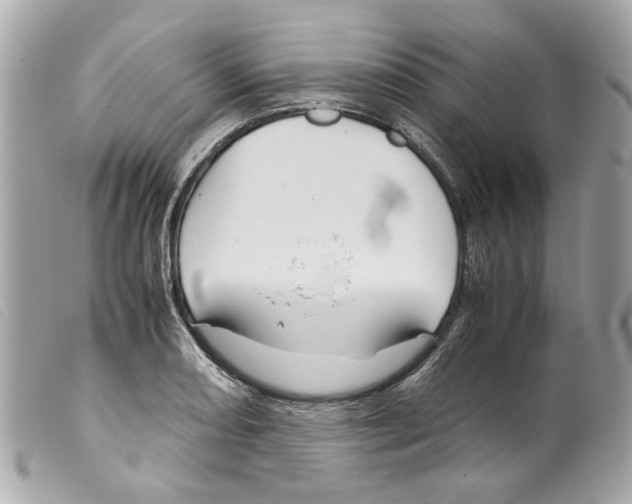 X0000099311082200805301149