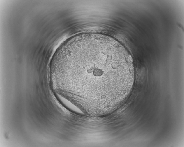 X0000099311083200805301149