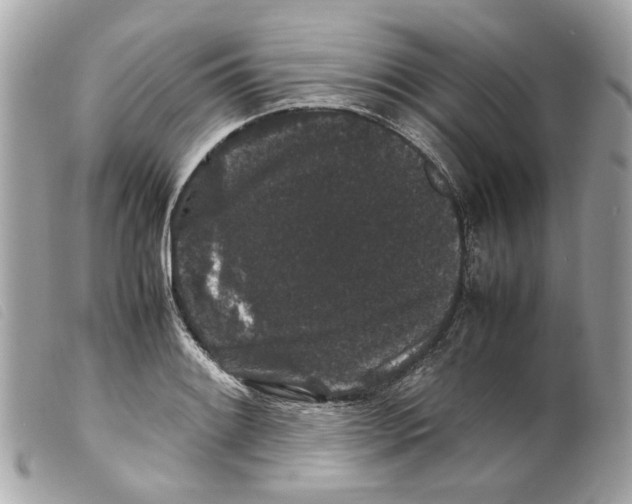 X0000099311084200805301149