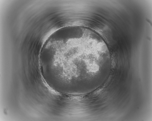 X0000099311086200805301149