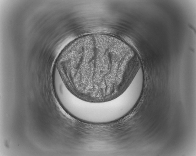 X0000099311087200805301149