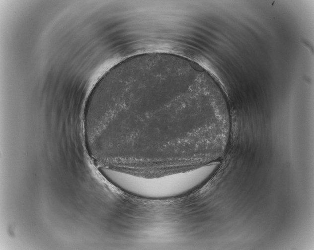 X0000099311088200805301149