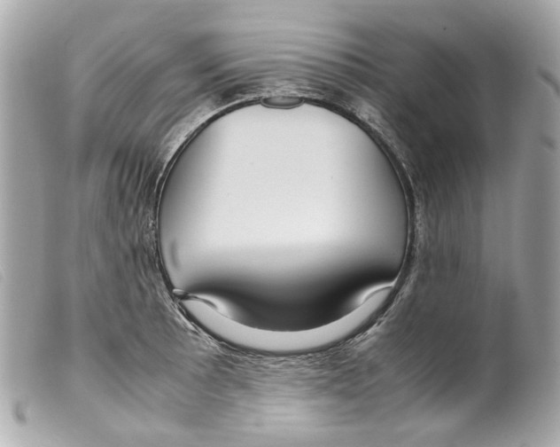 X0000099311089200805301149