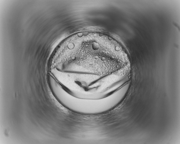 X0000099311091200805301149