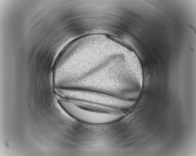 X0000099311092200805301149