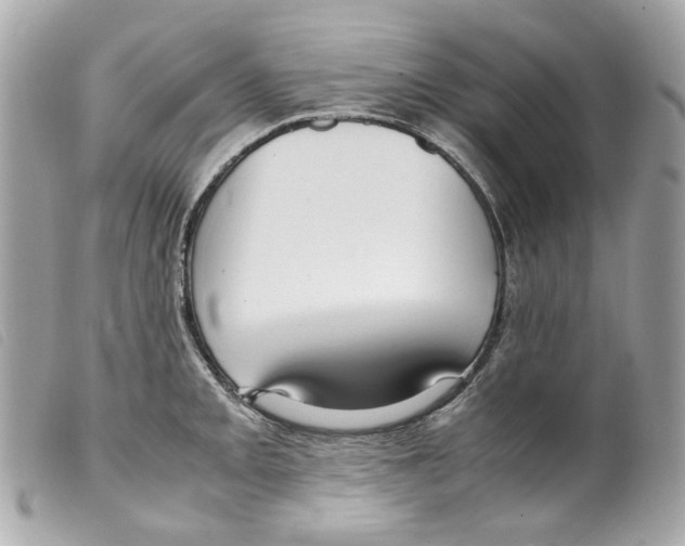 X0000099311093200805301149