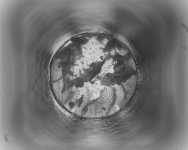 X0000099311095200805301149