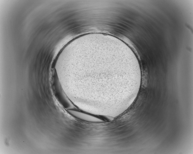 X0000099311096200805301149