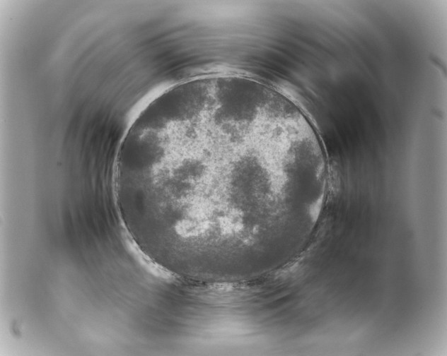 X0000099311098200805301149