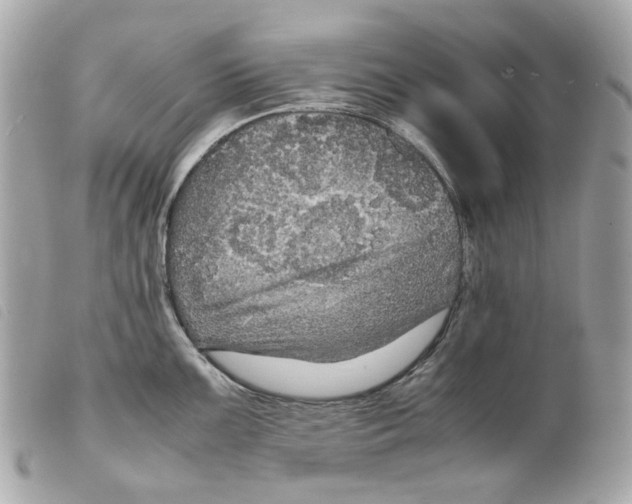 X0000099311099200805301149