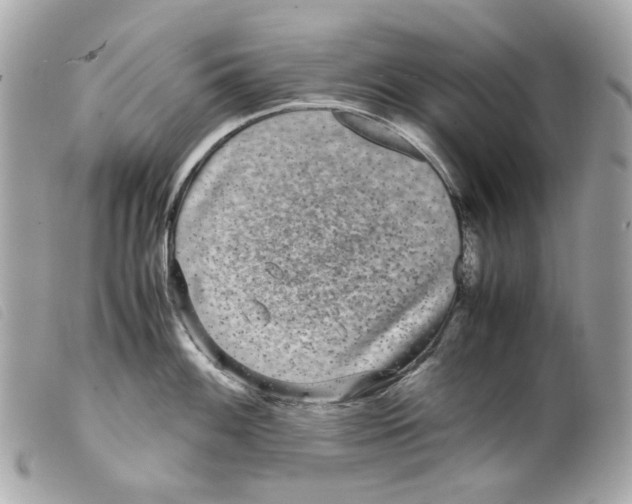 X0000099311100200805301149