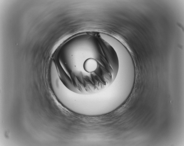 X0000099311101200805301149