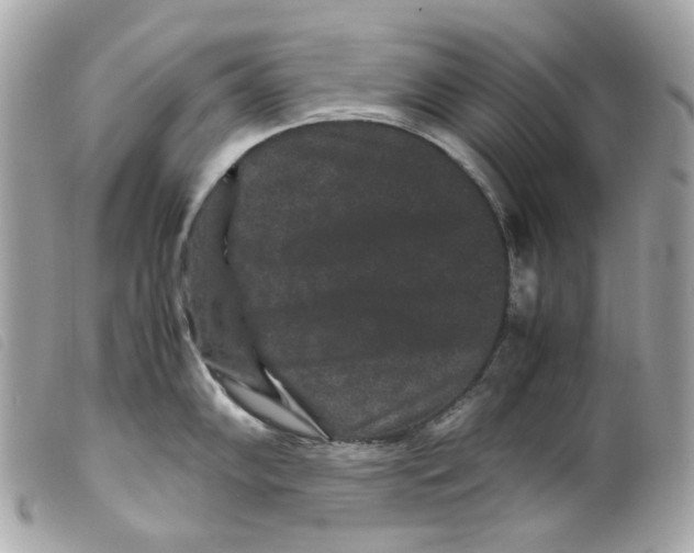 X0000099311102200805301149