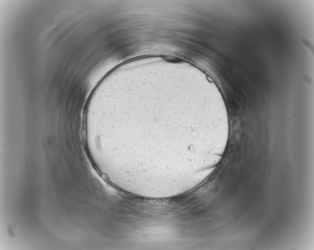 X0000099311103200805301149