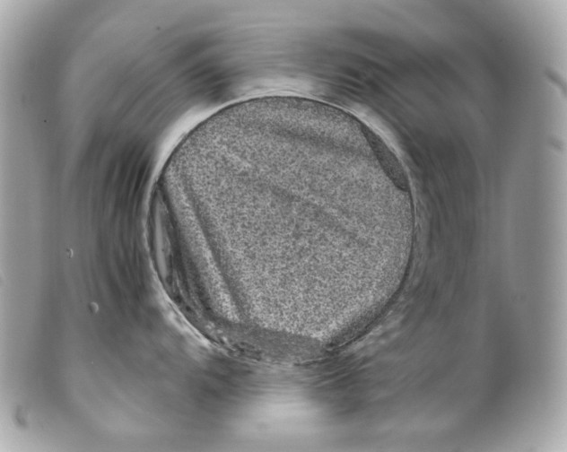 X0000099311104200805301149