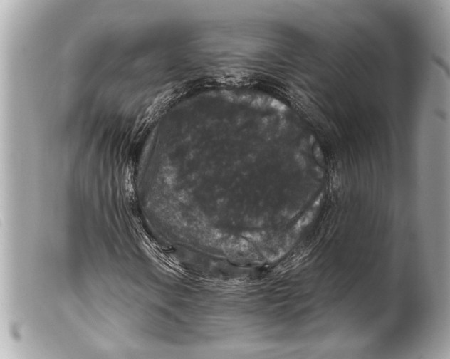 X0000099311106200805301148