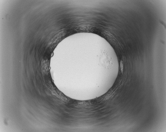 X0000099311107200805301148