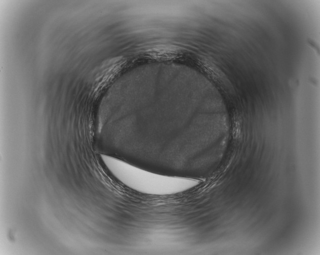 X0000099311108200805301148