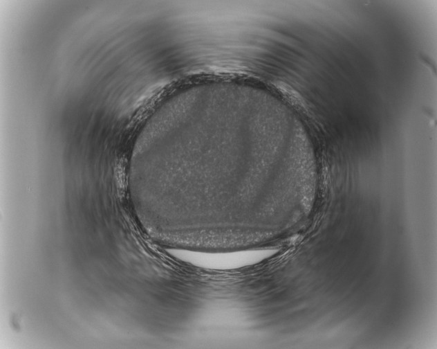 X0000099311110200805301148