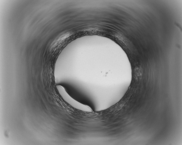 X0000099311111200805301148