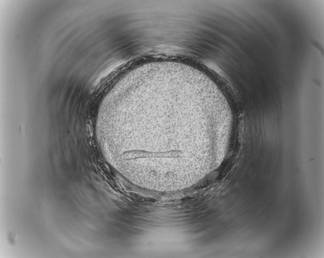 X0000099311112200805301148