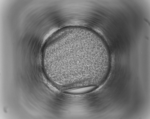 X0000099311114200805301148