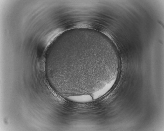 X0000099311115200805301148