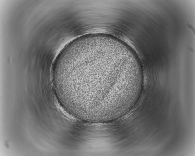 X0000099311116200805301148