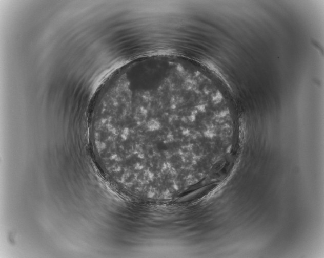 X0000099311117200805301148