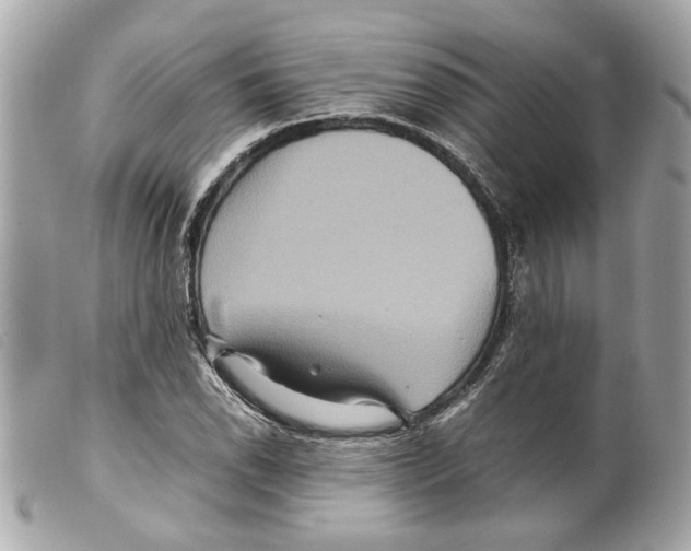 X0000099311118200805301148