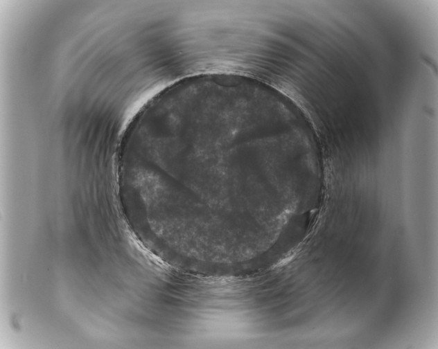 X0000099311120200805301148