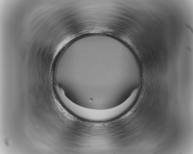 X0000099311122200805301148