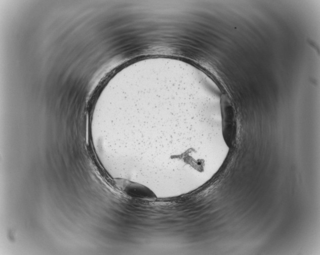 X0000099311123200805301148