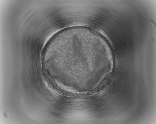 X0000099311124200805301148