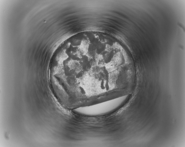 X0000099311125200805301148